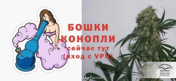 круглые Вязьма